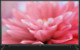 TV LG 42LB5500