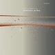 VINIL INDIE Eivind Aarset, Jan Bang - Last Two Inches Of Sky