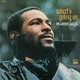 VINIL UNIVERSAL RECORDS Marvin Gaye - What's Going On