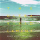 VINIL SONY MUSIC Manic Street Preachers - The Ultra Vivid Lament