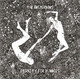 CD UNIVERSAL (RO) The Amsterdams - Eternity For Dummies