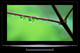 TV Panasonic TH-50PZ800