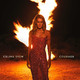 VINIL SONY MUSIC Celine Dion - Courage