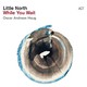 VINIL ACT Little North, Oscar Andreas Haug - While You Wait