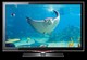 TV Samsung LE-32C650