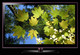 TV LG 32LE5500
