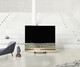 TV Bang & Olufsen Beovision Harmony 88