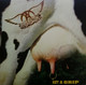 VINIL UNIVERSAL RECORDS Aerosmith - Get A Grip