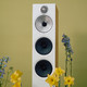 Boxe Bowers & Wilkins 603 S3 Oak