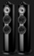 Boxe Bowers & Wilkins 804 D5