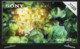  Sony - KD-55XH8196