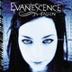 VINIL UNIVERSAL RECORDS Evanescence - Fallen