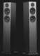 Boxe active Audio Pro A38 W