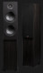 Boxe PSB Speakers Alpha T20