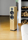 Boxe Dynaudio Focus 220