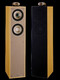 Boxe Tannoy Sensys DC2