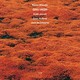 VINIL ECM Kenny Wheeler - Gnu High ( LUMINESSENCE )