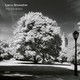 VINIL ECM Larry Grenadier: The Gleaners