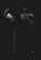 Casti Audio-Technica ATH-CKX7 Resigilat Negru