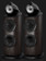 Boxe Bowers & Wilkins 801 D5 Dark Walnut