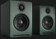 Boxe active Audioengine A2+ USB-C Matte Green