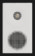 Boxe Monitor Audio Radius 3 4G Satin White