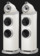 Boxe Bowers & Wilkins 802 D5 Warm White