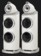 Boxe Bowers & Wilkins 801 D5 Warm White