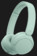 Casti Sony WH-CH530 Verde