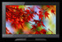 TV Sony KDL-40EX402