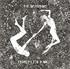 CD UNIVERSAL (RO) The Amsterdams - Eternity For Dummies