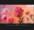  TV Samsung 65Q9FN, QLED, UHD, HDR, 165cm