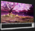 TV LG OLED88Z19LA
