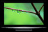 TV Panasonic TH-50PZ800