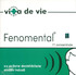 VINIL UNIVERSAL (RO) Vita De Vie - Fenomental (Black) 