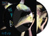 VINIL UNIVERSAL RECORDS The Cure - The Head On The Door