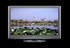 TV Panasonic TX-L42V20E