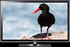 TV Samsung UE-40D6000