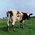 VINIL WARNER MUSIC Pink Floyd - Atom Heart Mother