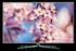 TV Samsung UE-55D7000