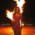 VINIL SONY MUSIC Celine Dion - Courage