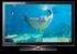 TV Samsung LE-32C650