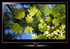 TV LG 32LE5500