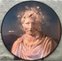 VINIL UNIVERSAL RECORDS The Offspring - Splinter Picture Disc RDS