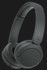 Casti Sony WH-CH530