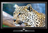 TV Samsung UE-32D5500