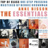 VINIL ProJect Anne Bisson - The Essentials, ed. audiofila