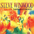 VINIL UNIVERSAL RECORDS Steve Winwood - Talking Back To The Night