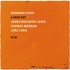VINIL ECM Giovanni Guidi - A New Day