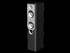 Boxe Infinity Primus 250